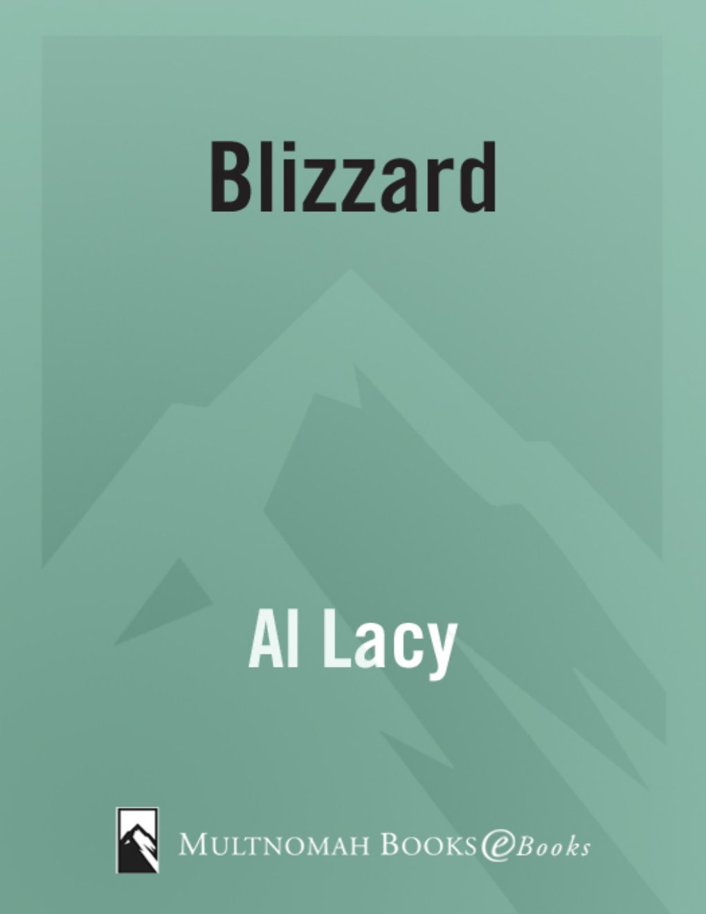 Cover of Blizzard