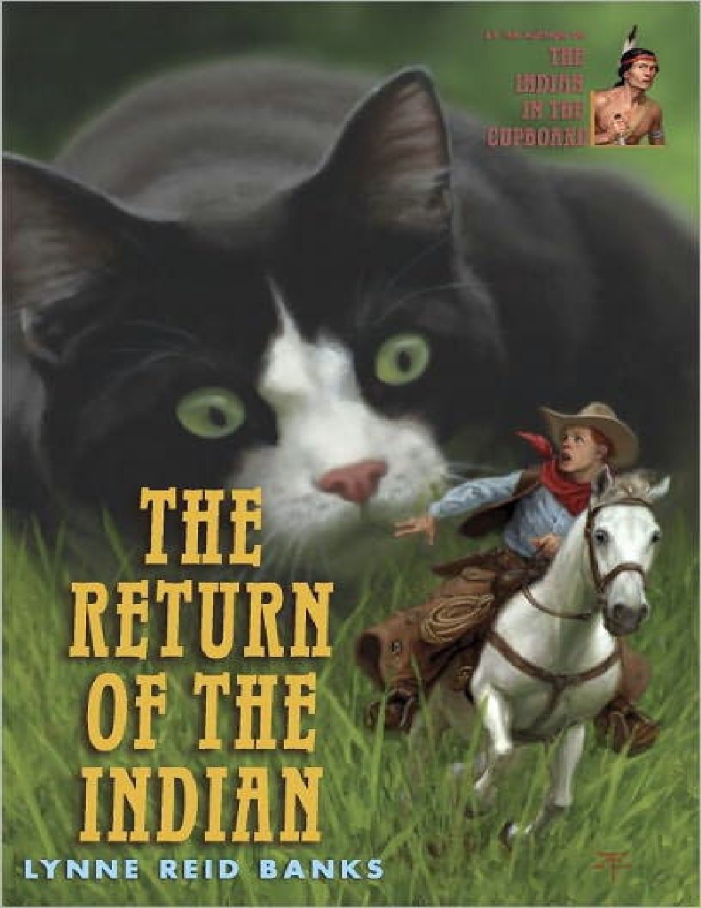 Cover of Return of the Indian