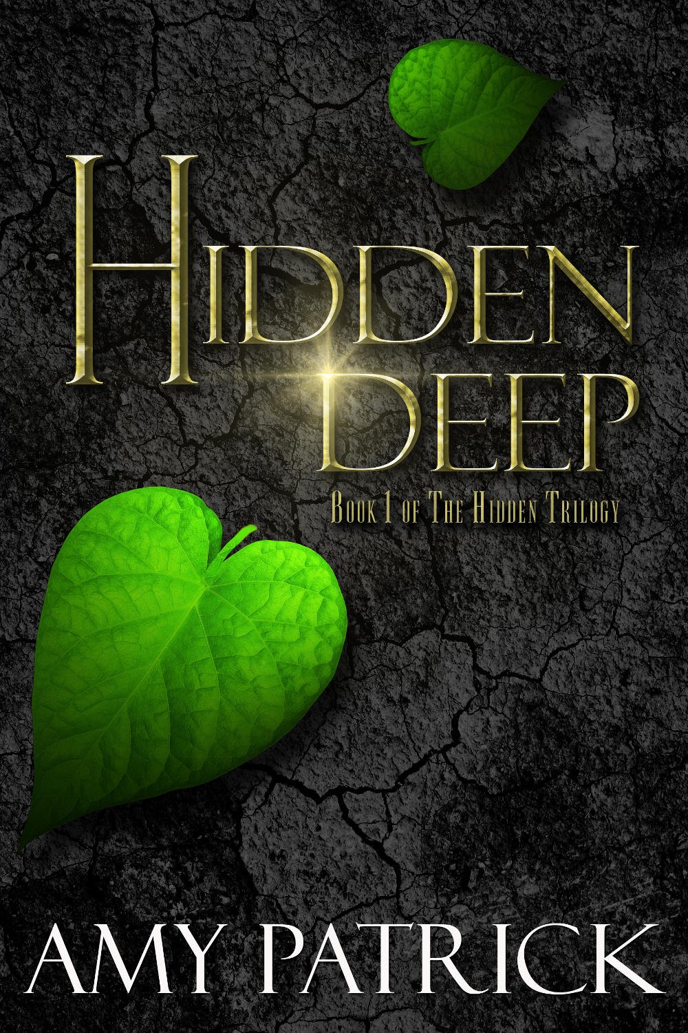 Cover of Hidden Deep