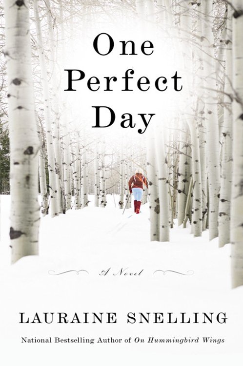 Cover of One Perfect Day