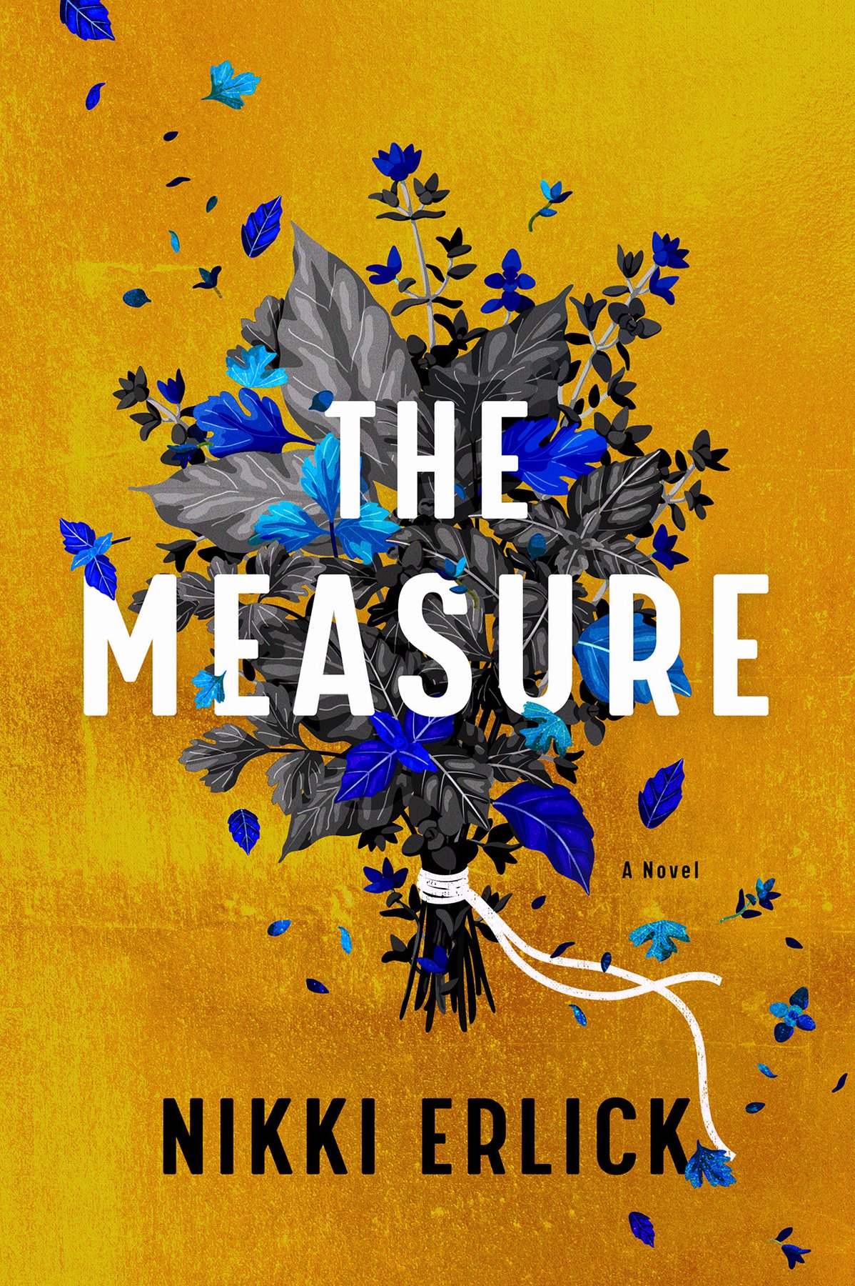 Cover of The Measure