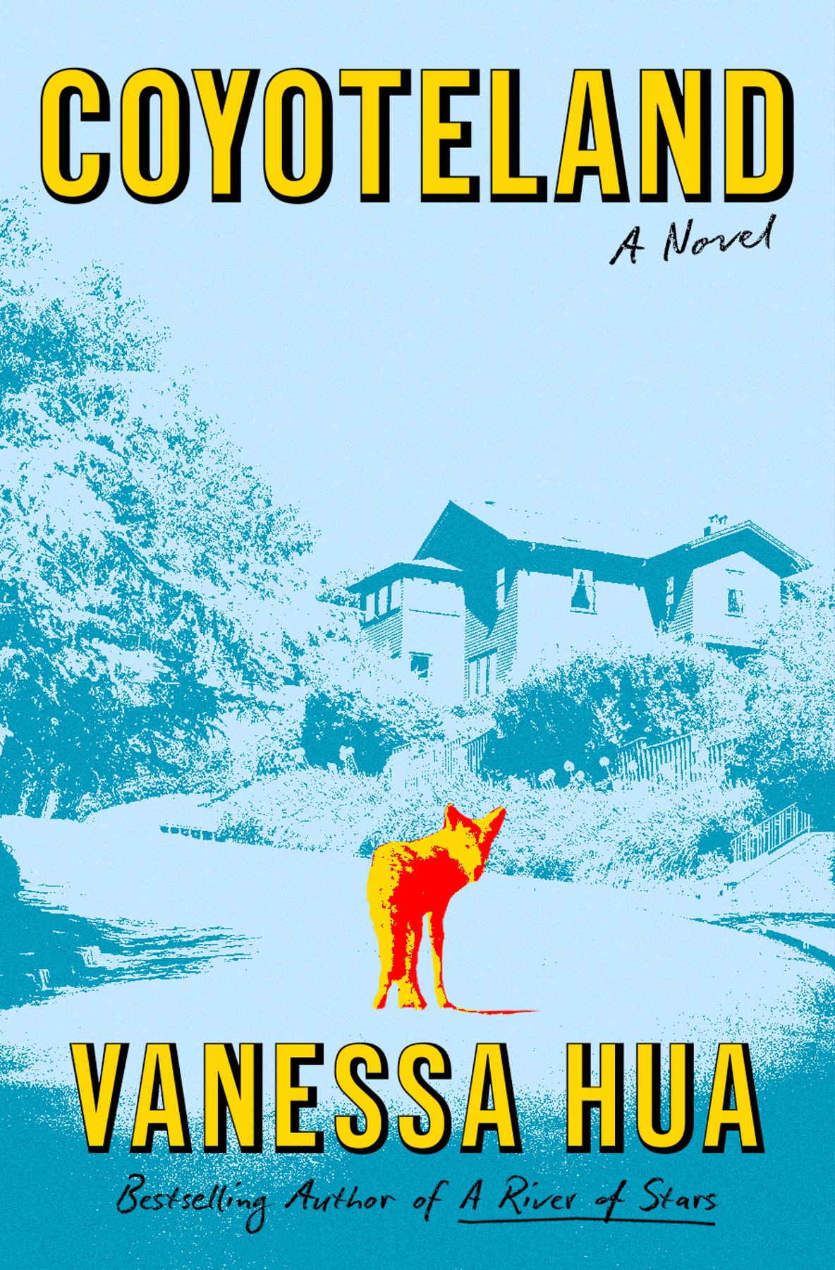 Cover of Coyoteland