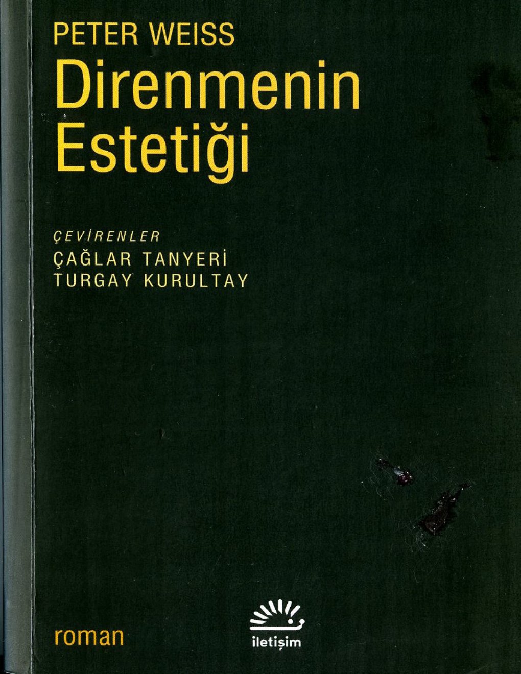 Cover of Direnmenin Estetiği