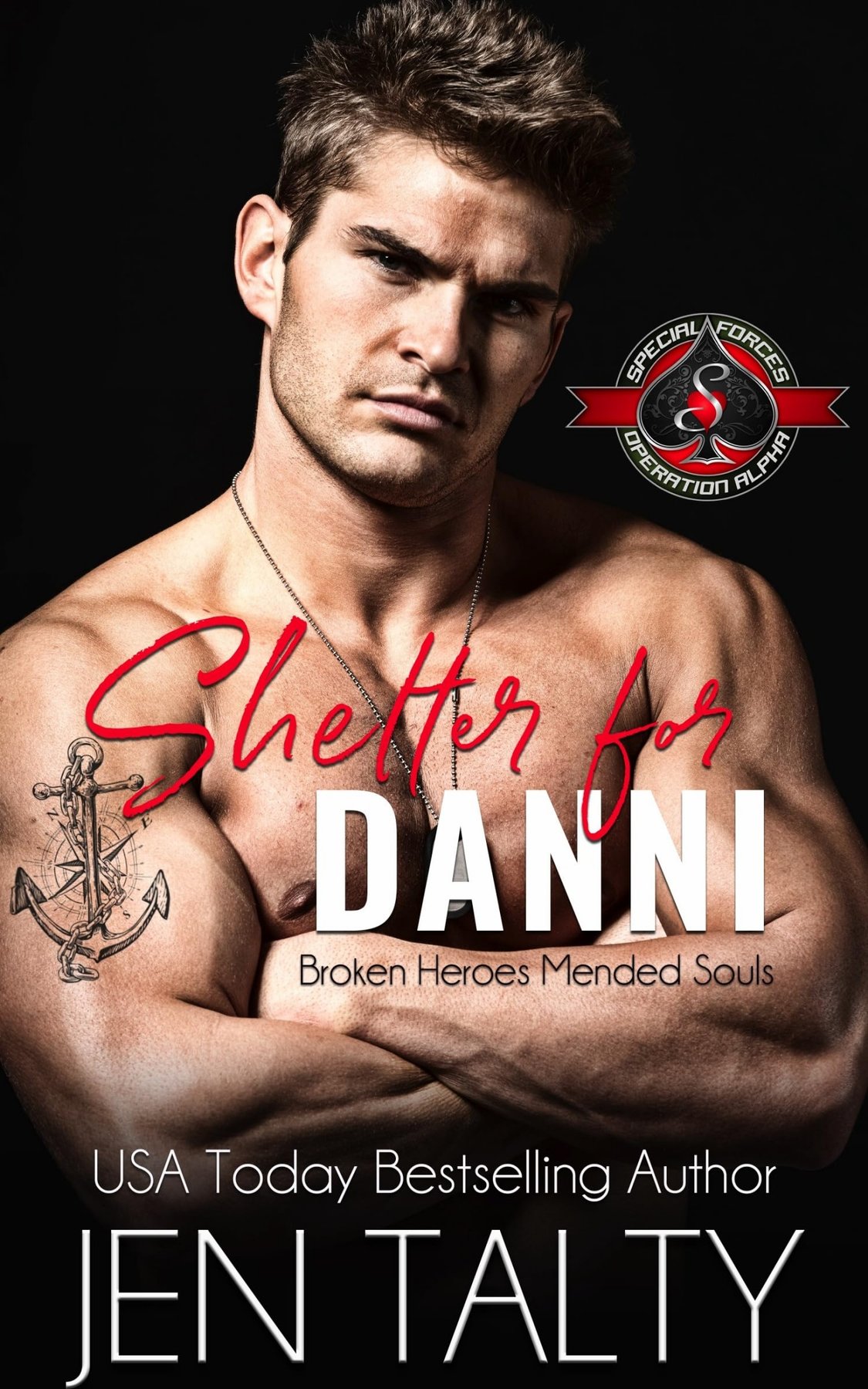 Cover of Shelter for Danni (Bro