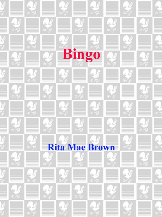 Cover of Bingo