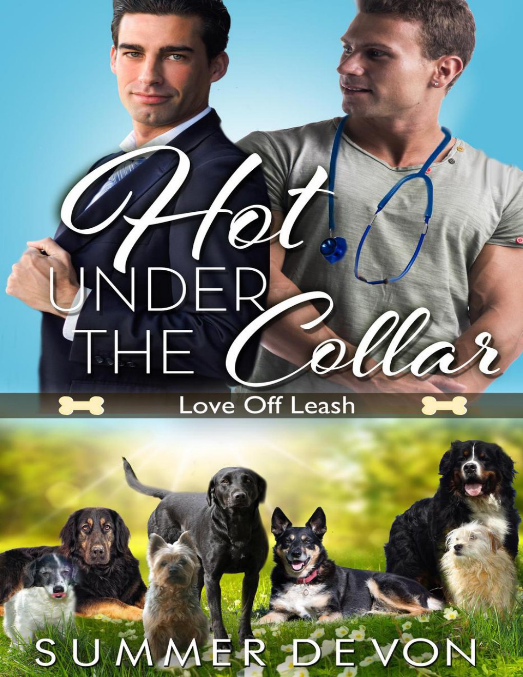 Cover of Hot Under the Collar