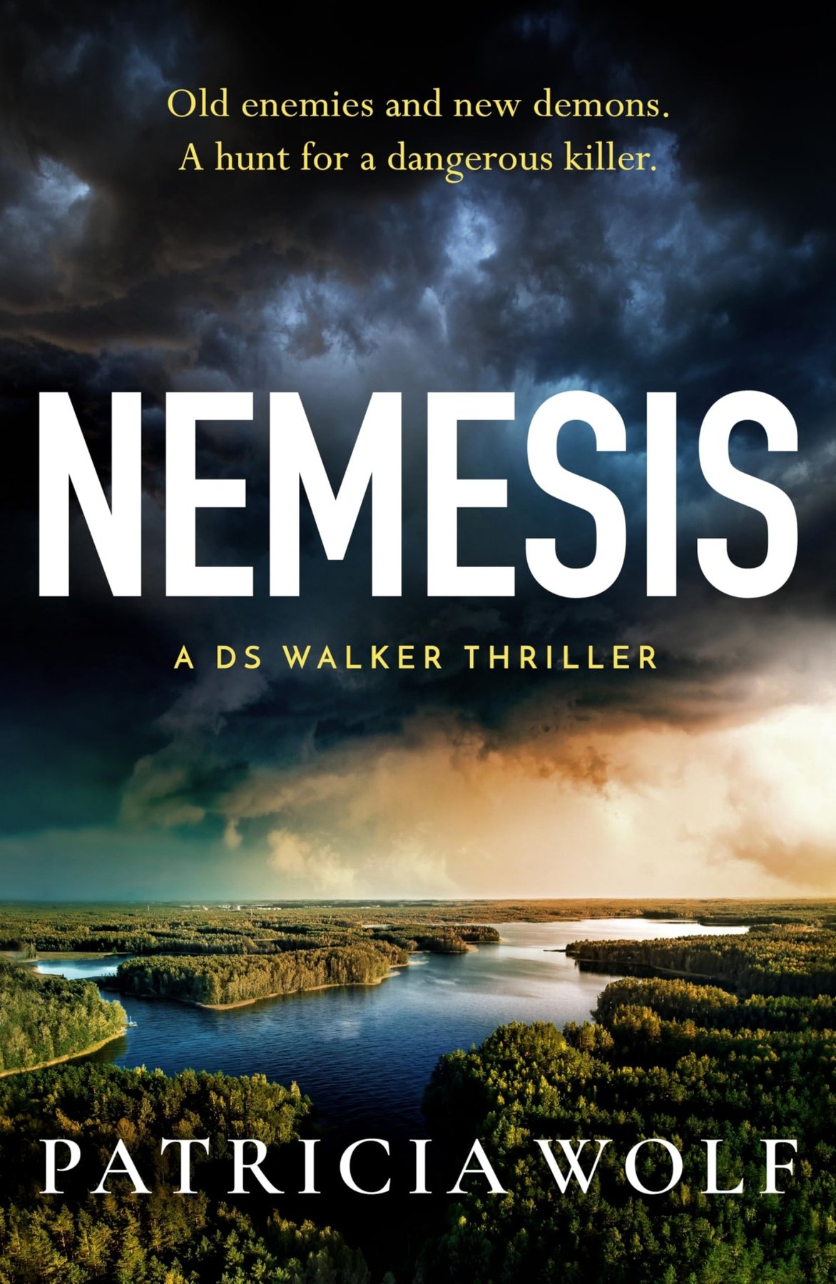 Cover of Nemesis (2025)