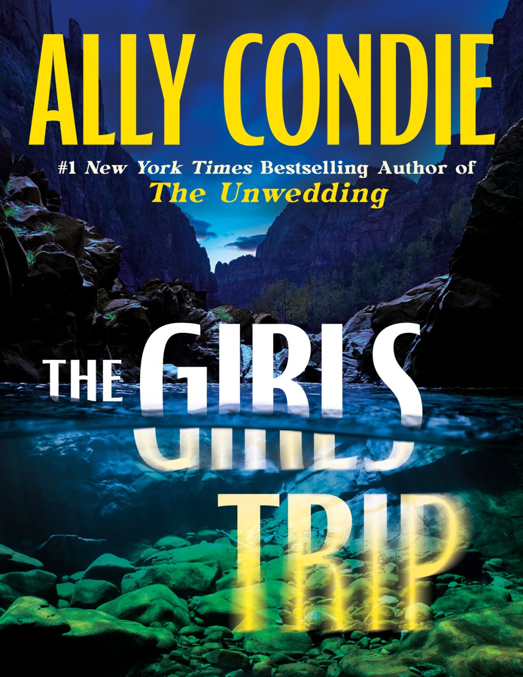 Cover of The Girls Trip