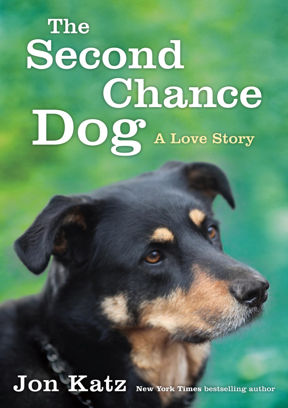 Cover of The Second-Chance Dog