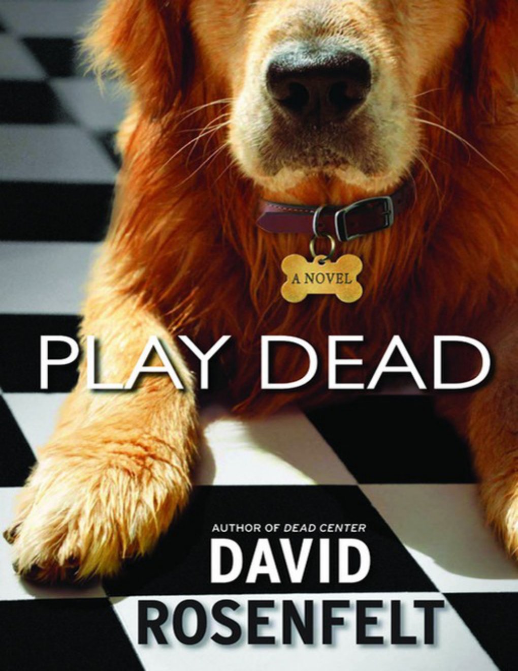 Cover of Play Dead