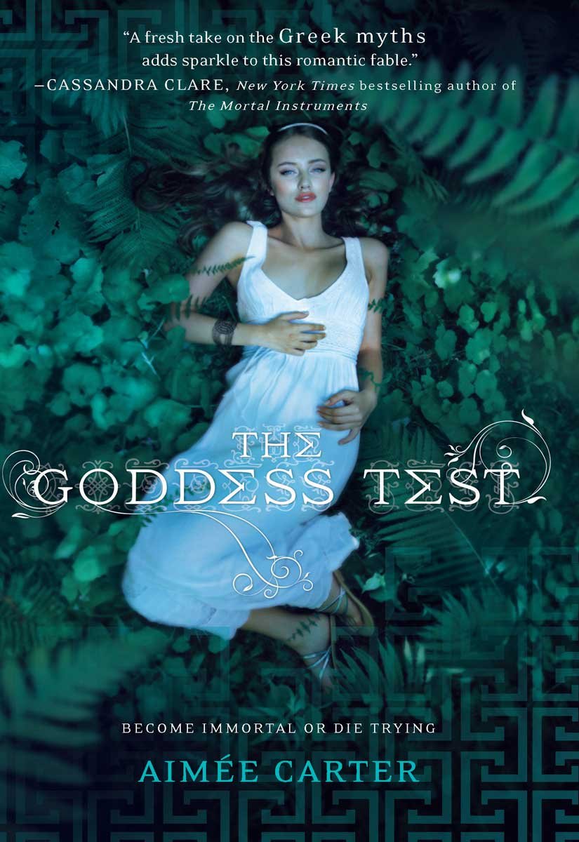 Cover of The Goddess Test