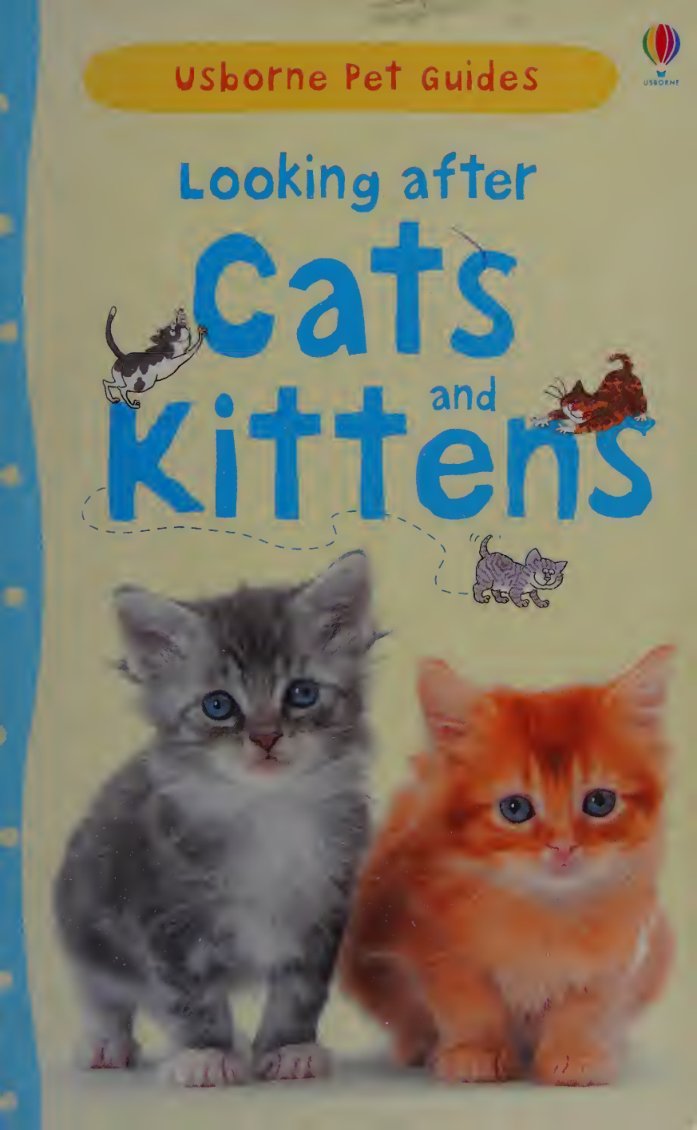 Cover of Looking after Cats and Kittens