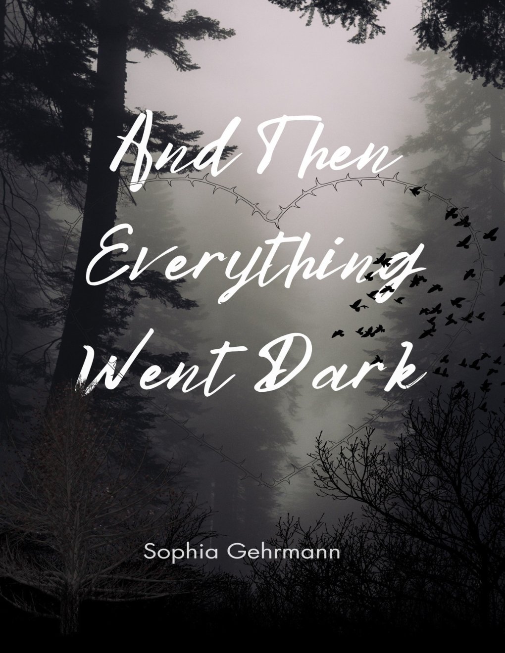 Cover of And Then Everything Went Dark