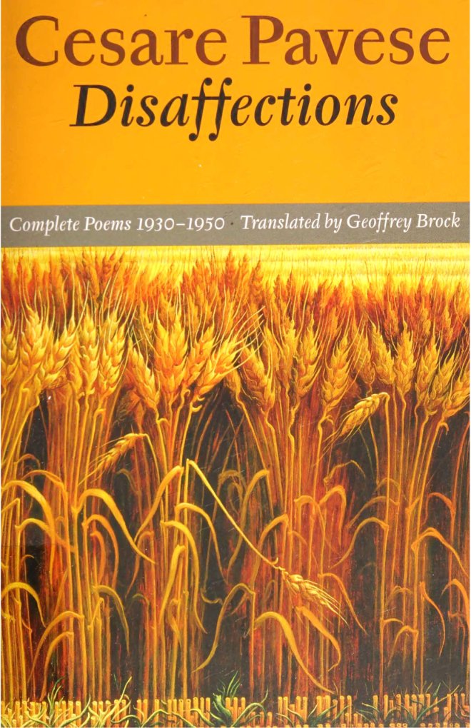 Cover of Scanned Image