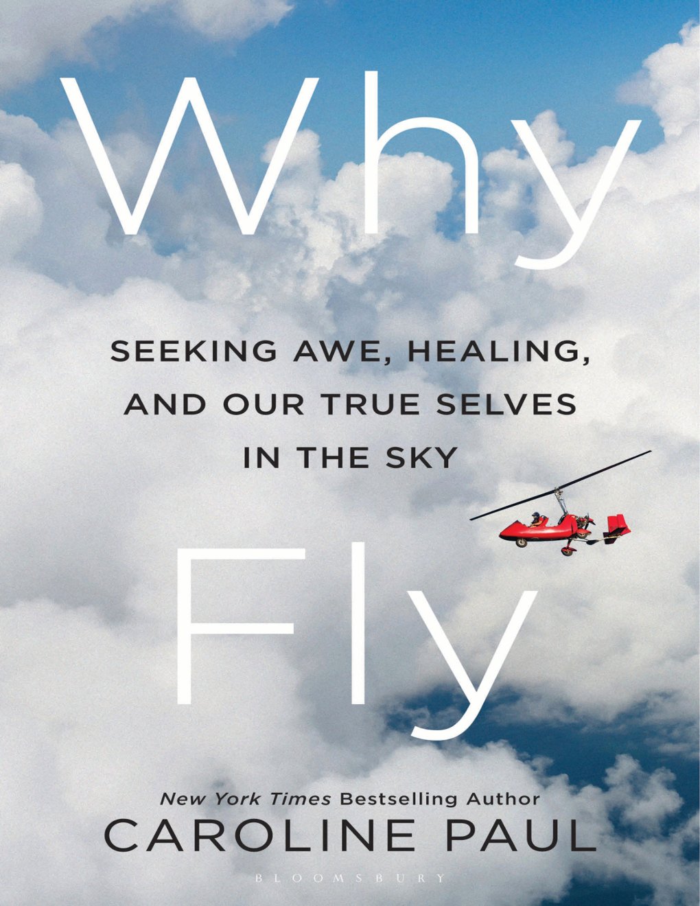 Cover of Why Fly