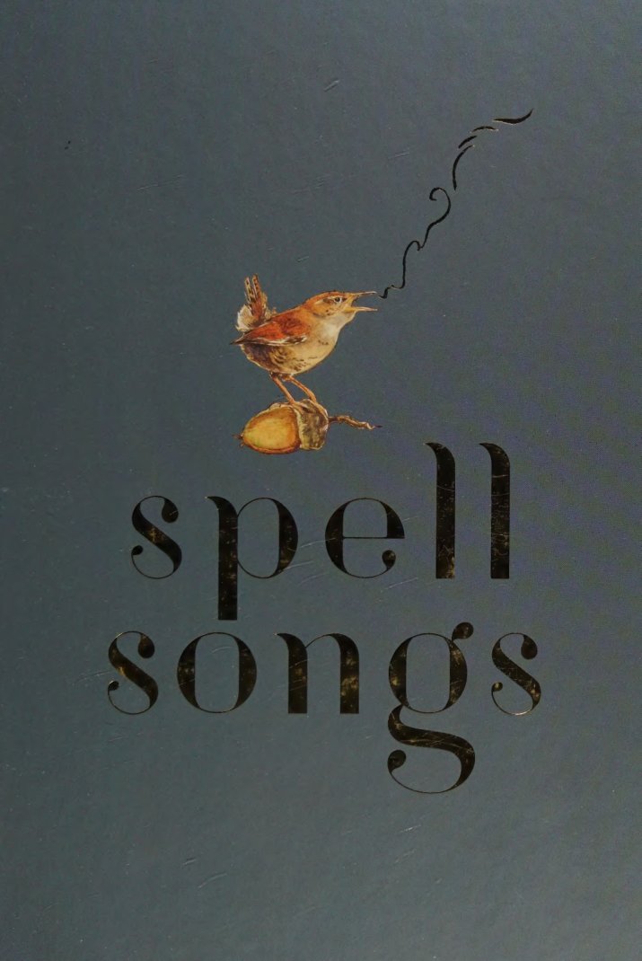 Cover of The lost words - spell songs