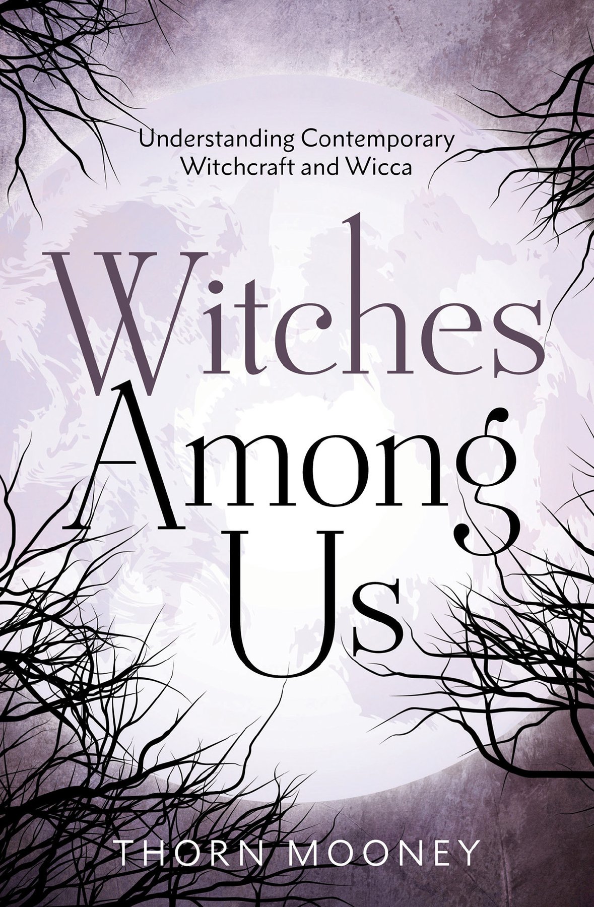 Cover of Witches Among Us