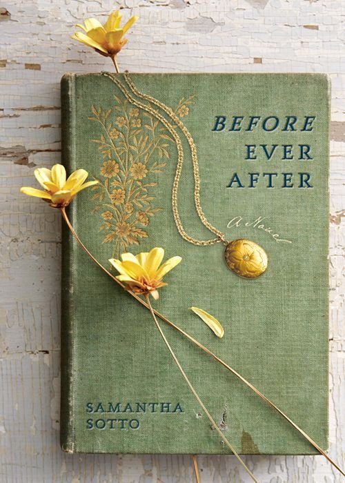 Cover of Before Ever After