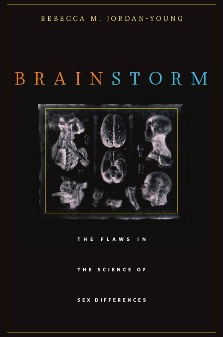 Cover of Brain Storm
