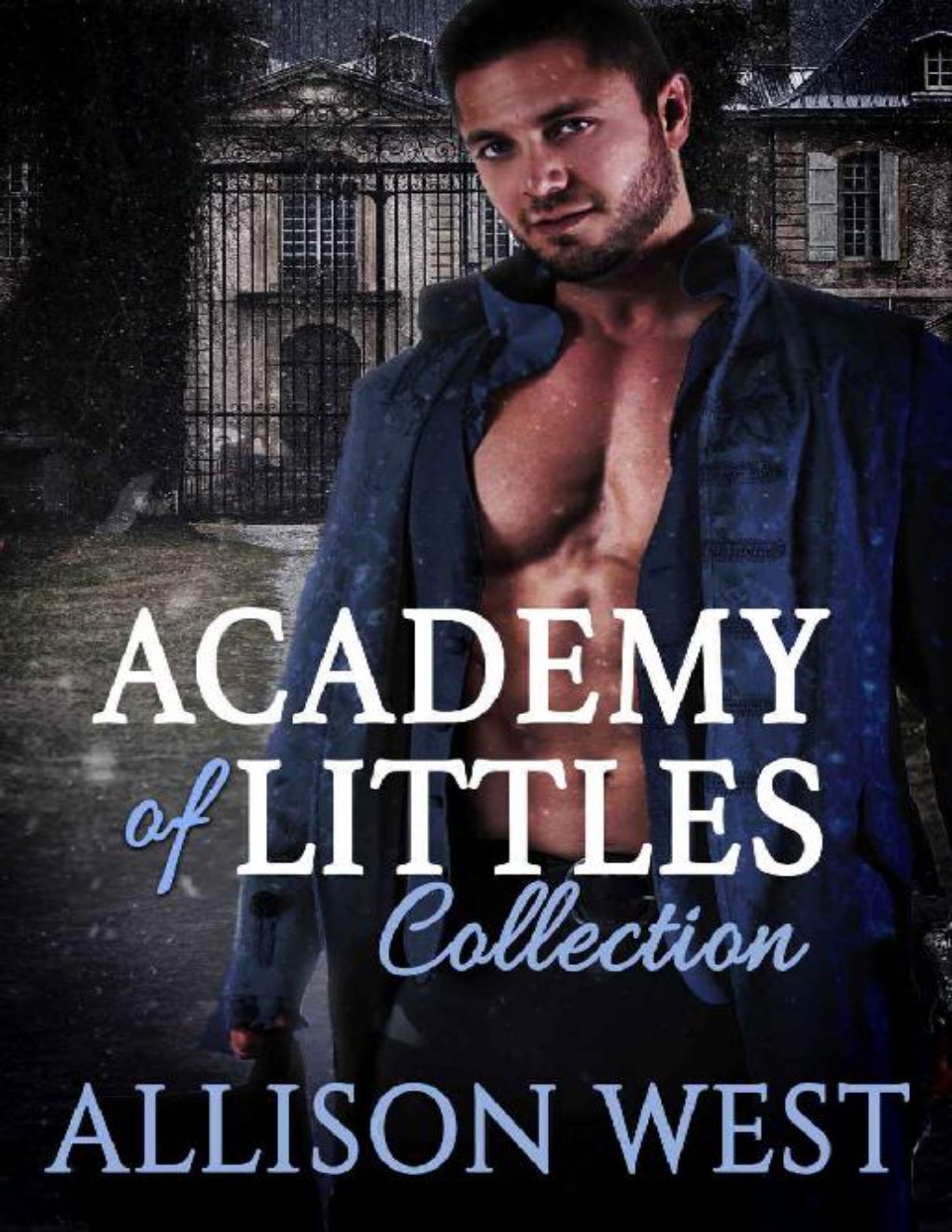 Cover of Academy of Littles