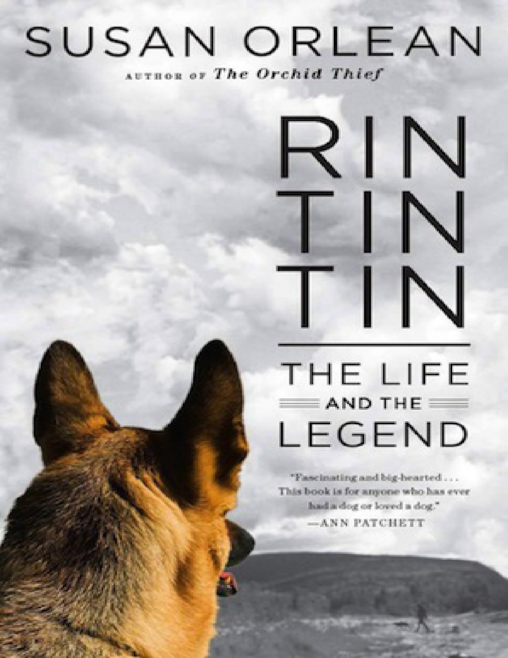 Cover of Rin Tin Tin