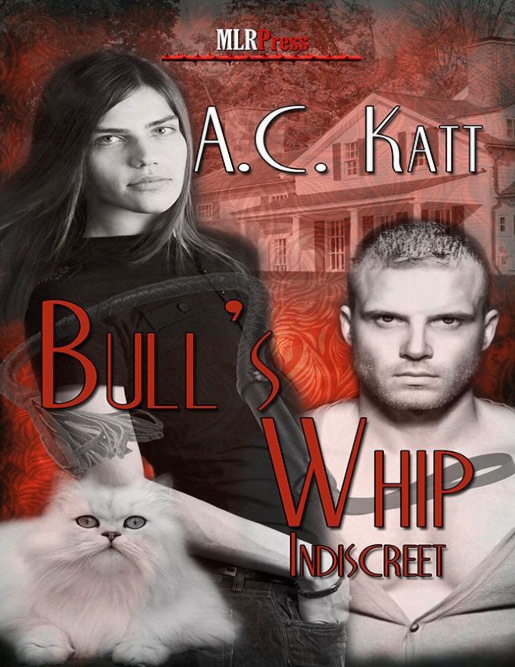 Cover of Bull's Whip