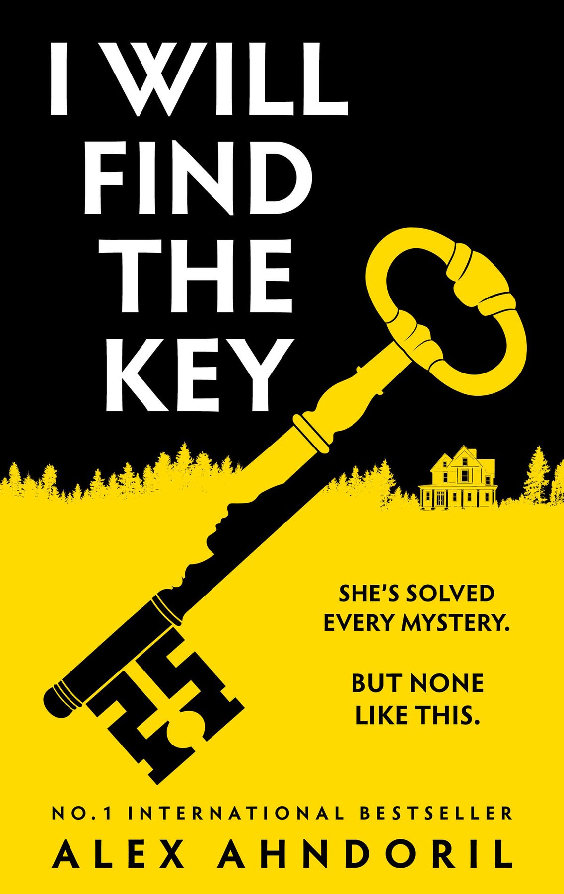Cover of I Will Find the Key