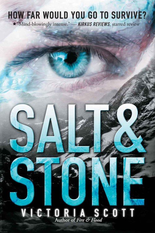 Cover of Salt & Stone