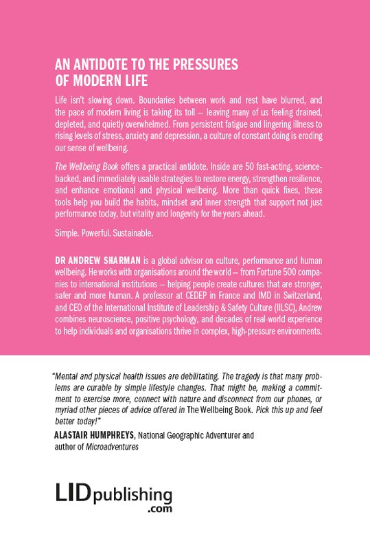 Cover of The Wellbeing Book