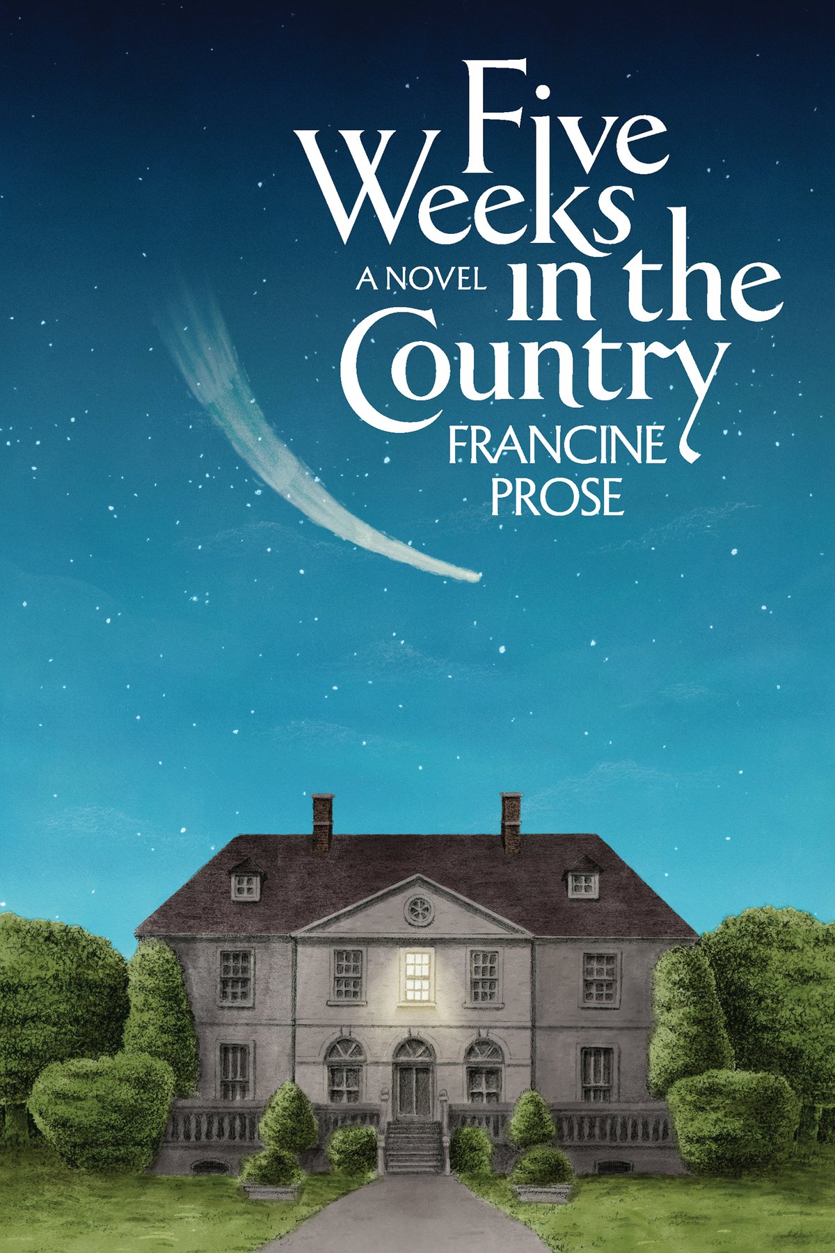 Cover of Five Weeks in the Country