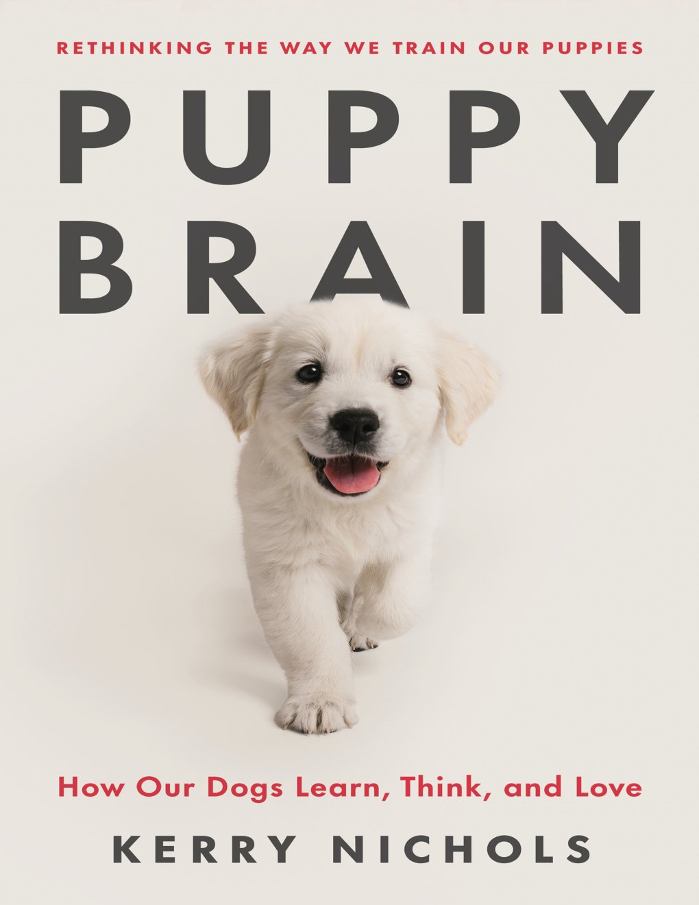 Cover of Puppy Brain