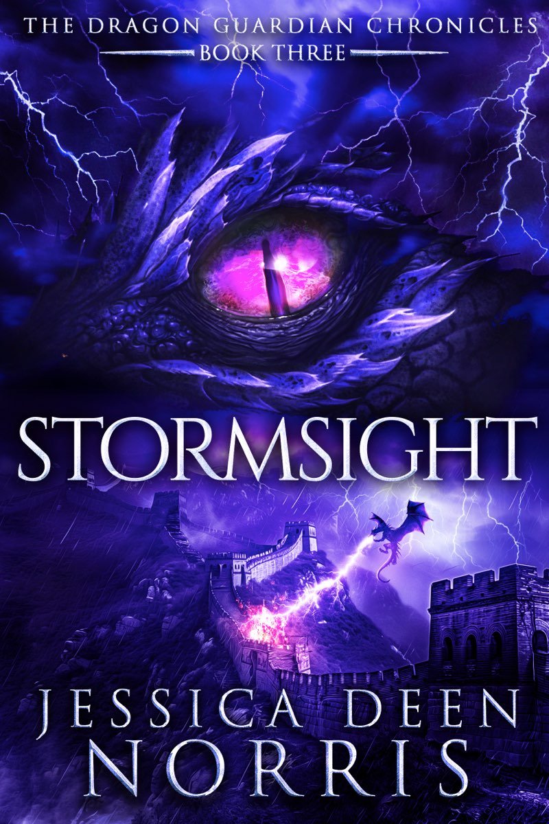 Cover of Stormsight (2024)