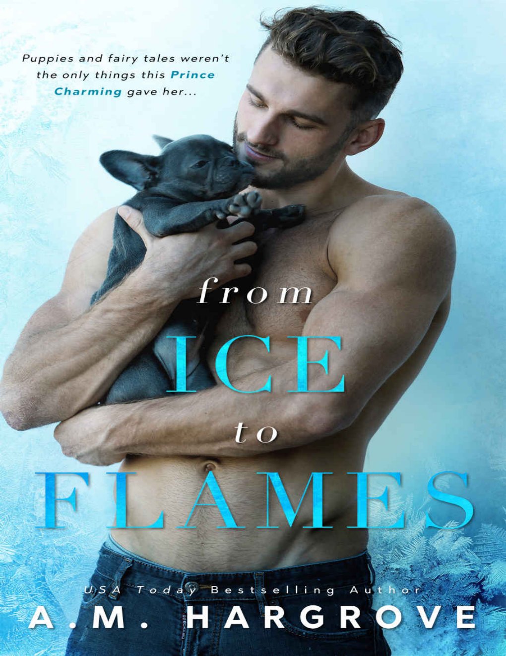 Cover of From Ice to Flames