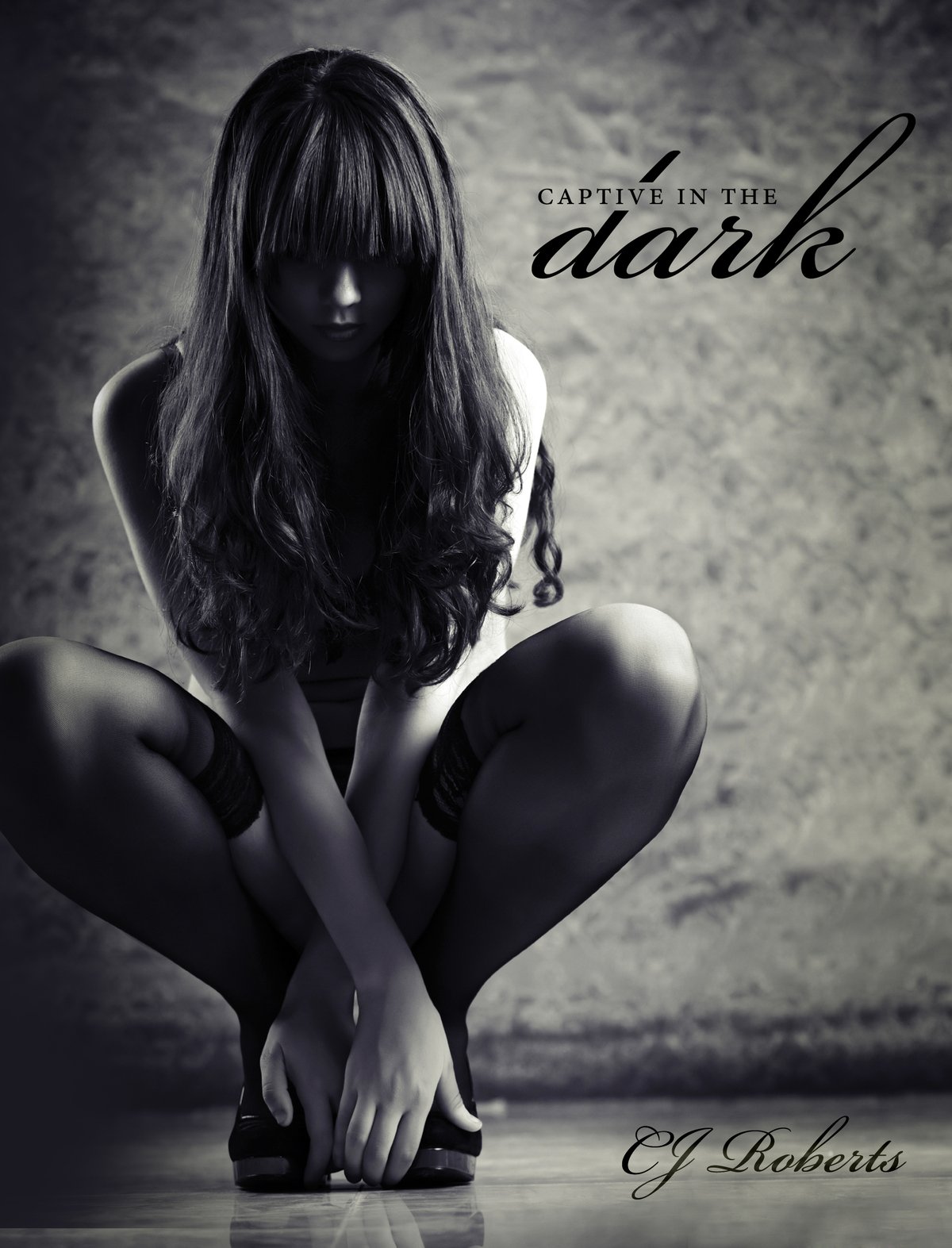 Cover of Captive in the Dark