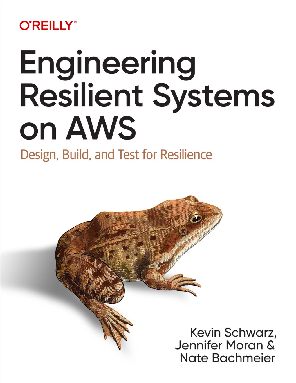 Cover of Engineering Resilient Systems on AWS (for True Epub)