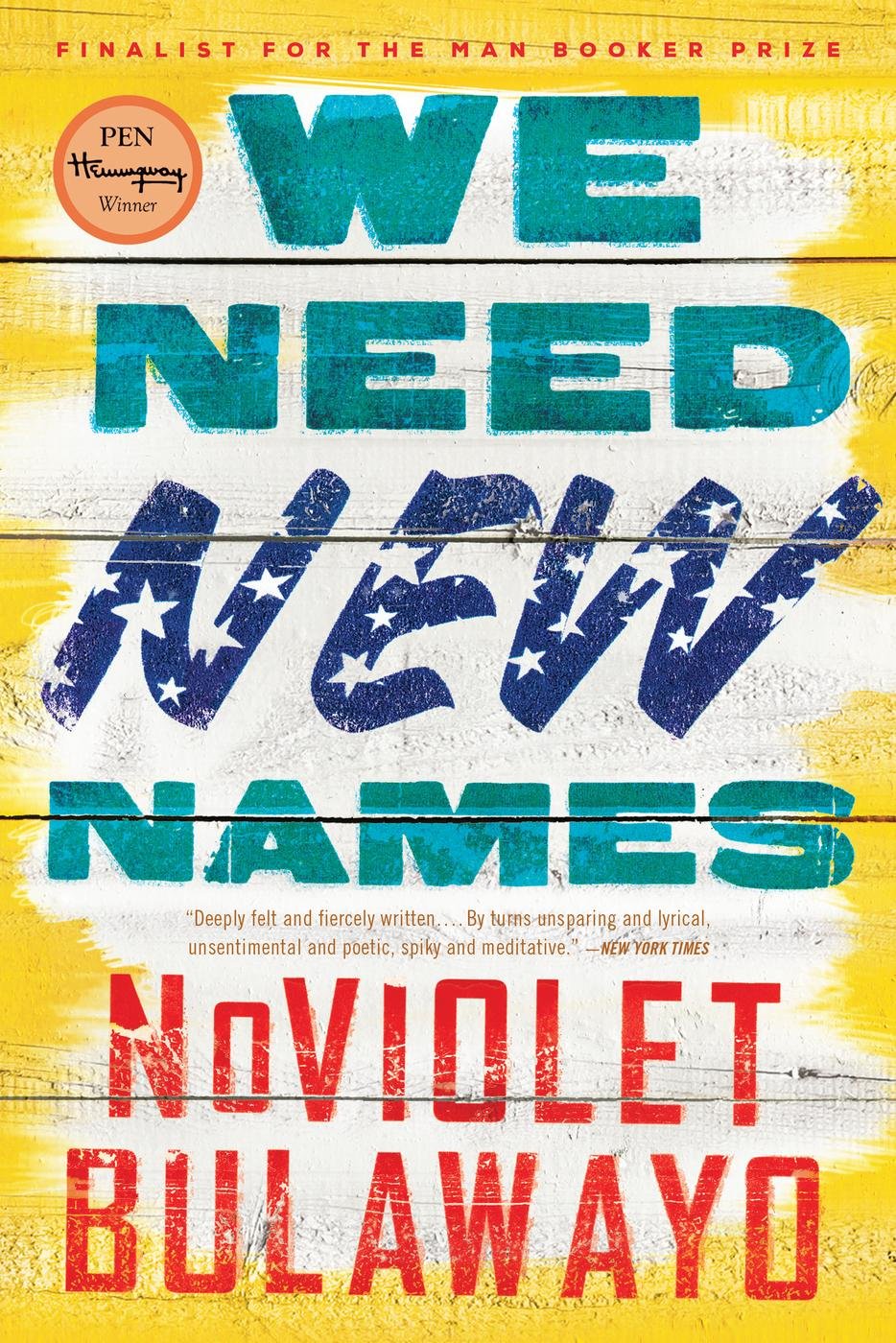 Cover of We Need New Names
