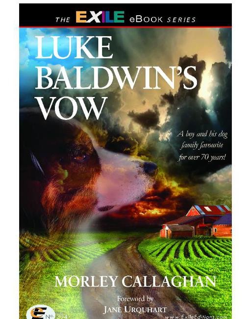 Cover of Luke Baldwin's Vow (1903)