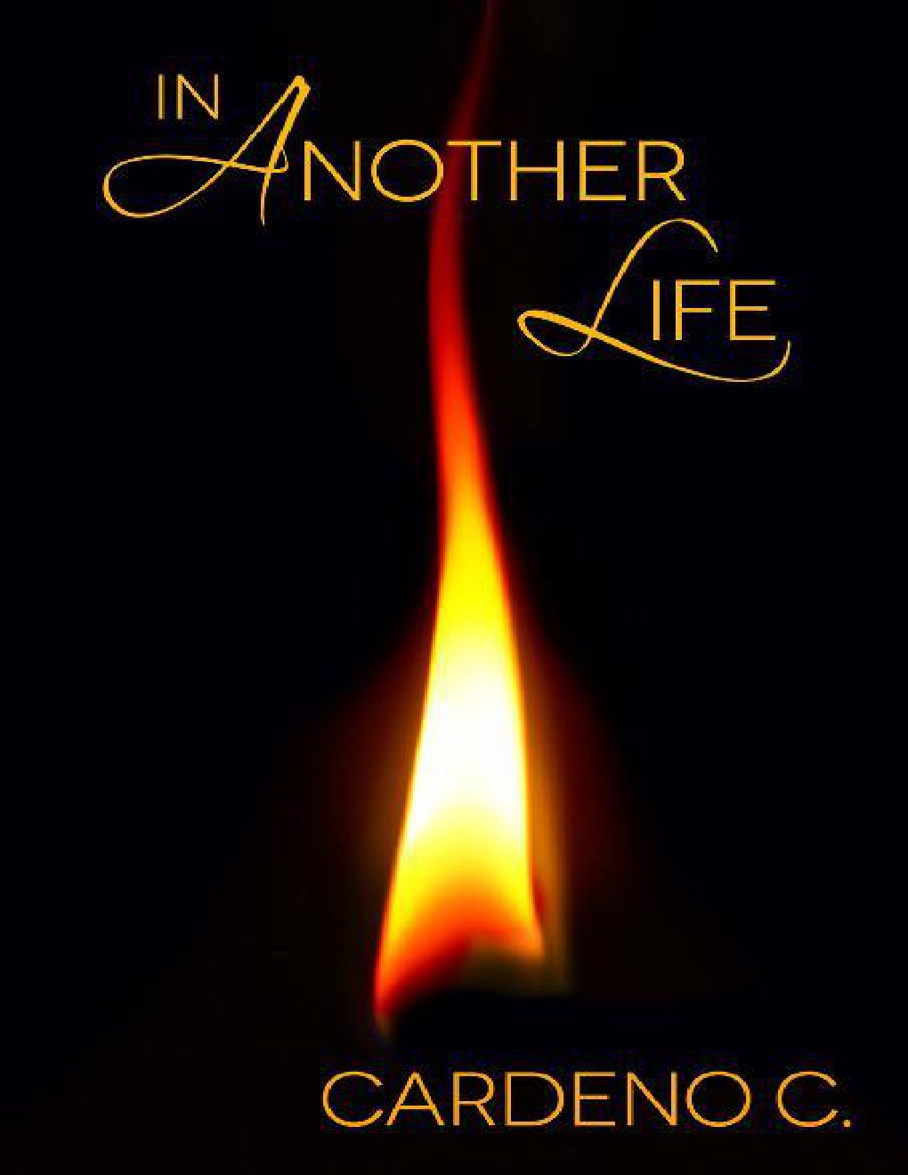 Cover of In Another Life
