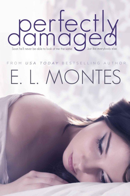 Cover of Perfectly Damaged