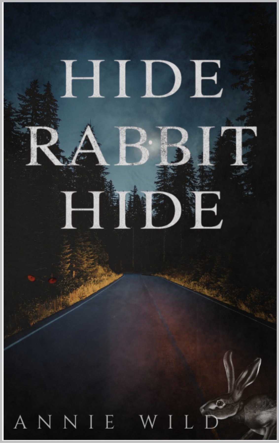 Cover of Hide Rabbit Hide- A Dark Suspenseful Romance (2026)