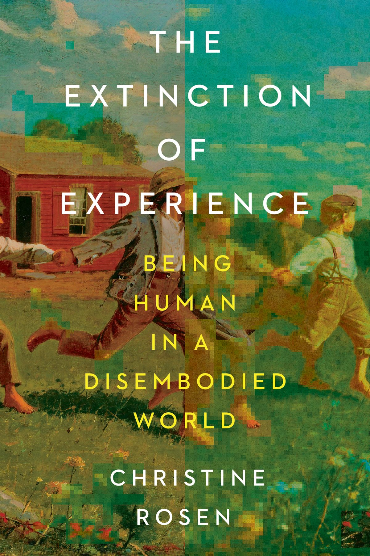 Cover of The Extinction of Experience