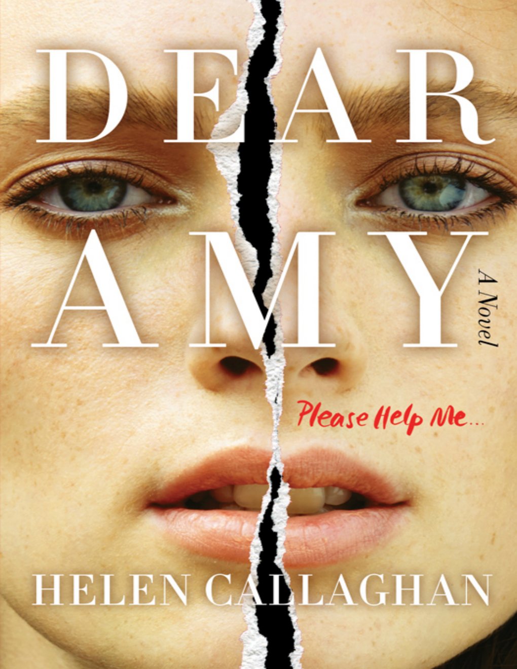 Cover of Dear Amy