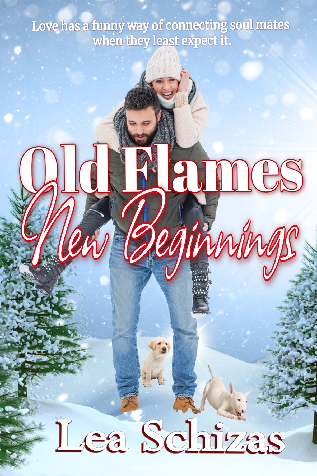 Cover of Old Flames, New Beginnings