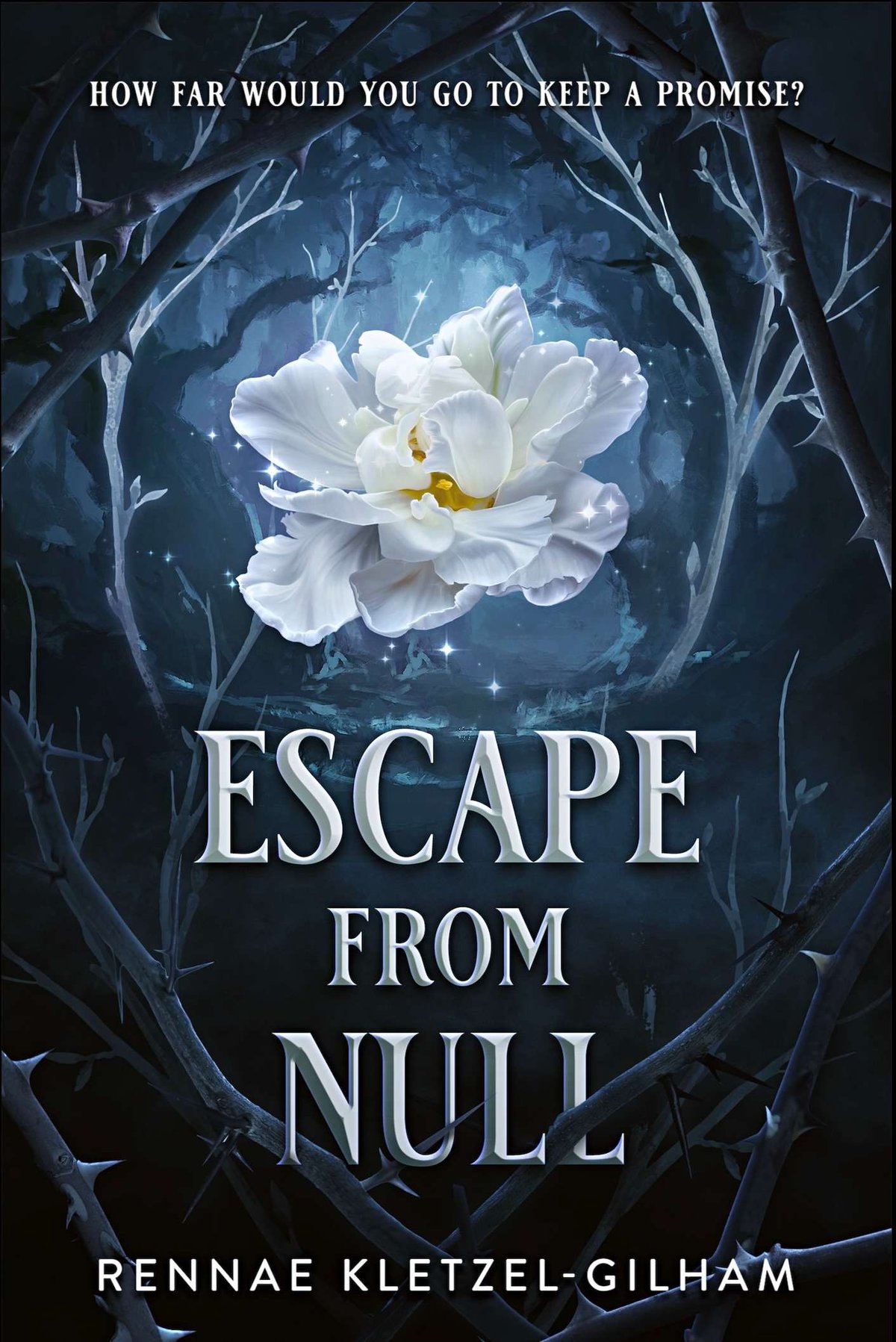 Cover of Escape from Null