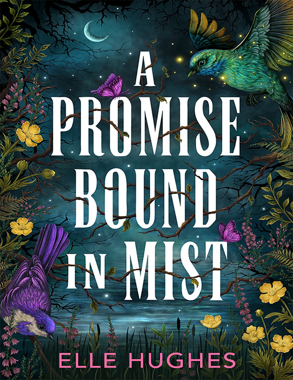 Cover of A Promise Bound in Mist