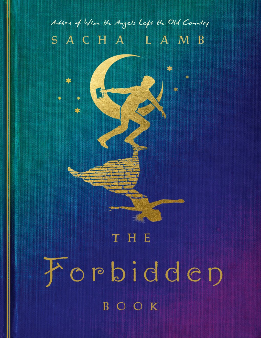 Cover of The Forbidden Book