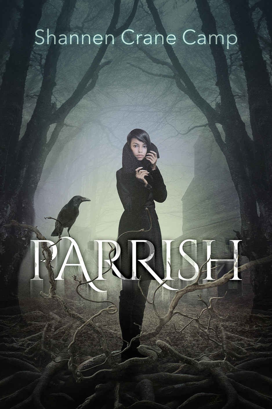 Cover of Parrish