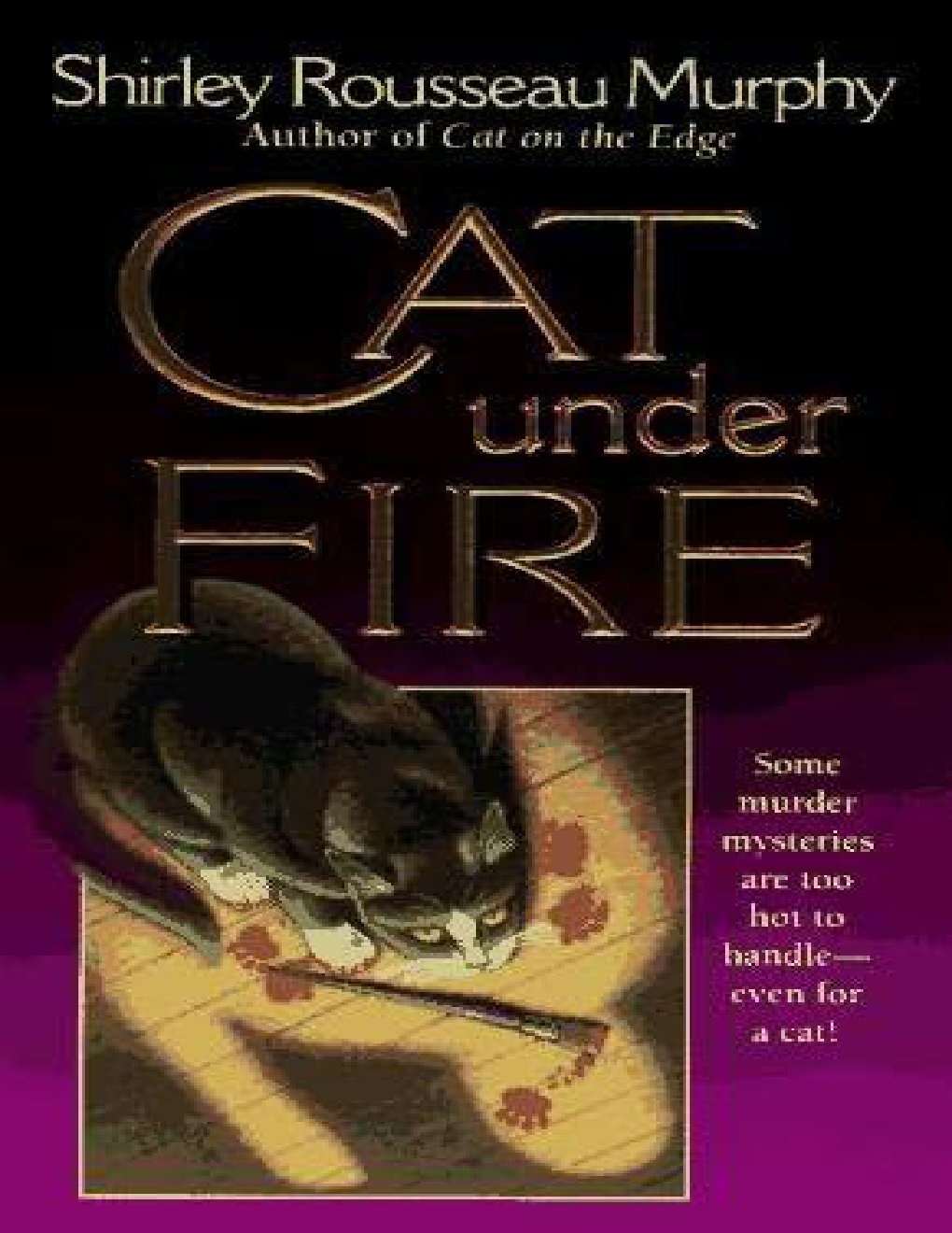 Cover of Cat Under Fire