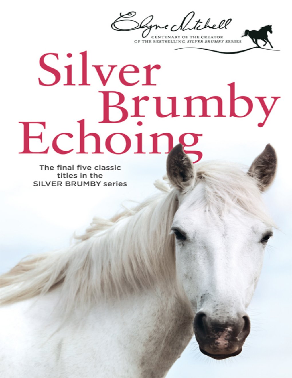 Cover of Silver Brumby Echoing (1913)