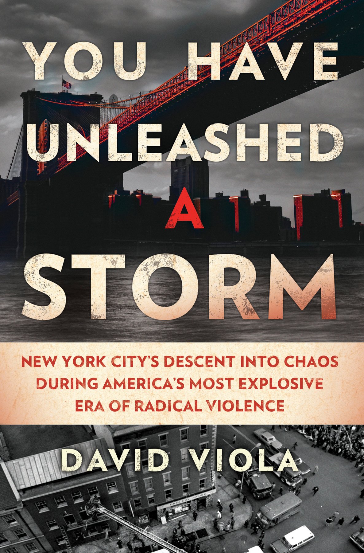 Cover of You Have Unleashed a Storm